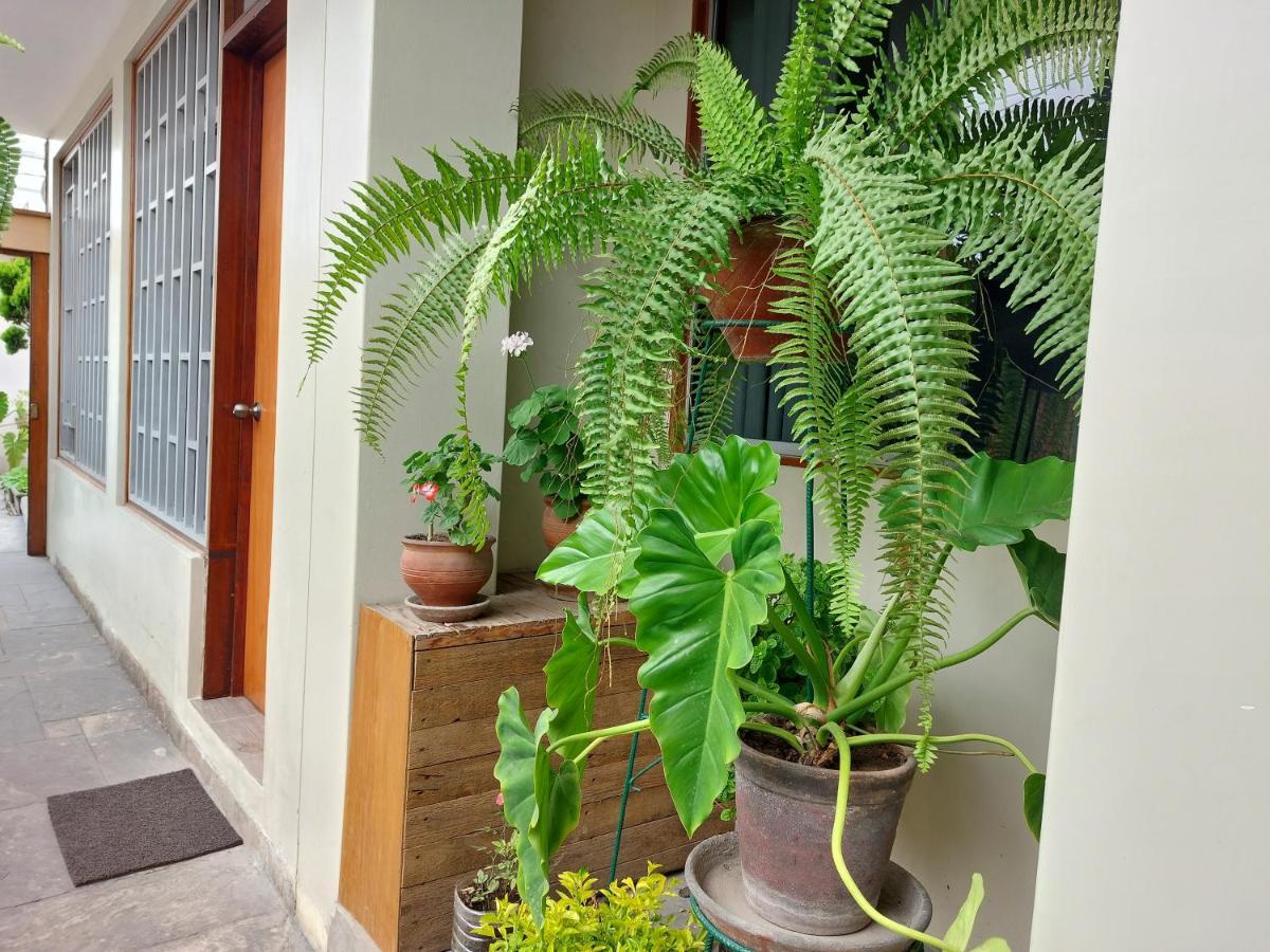 Casa Amarello Apartamento Lima Exterior foto