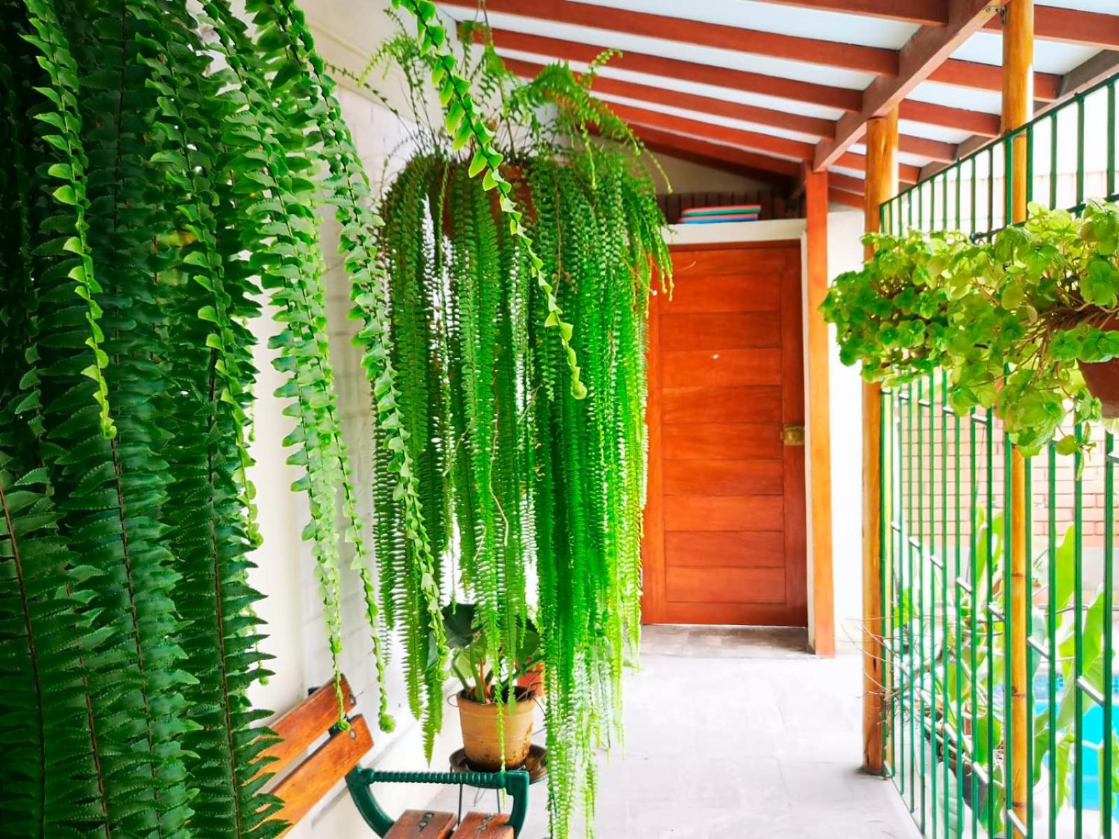 Casa Amarello Apartamento Lima Exterior foto